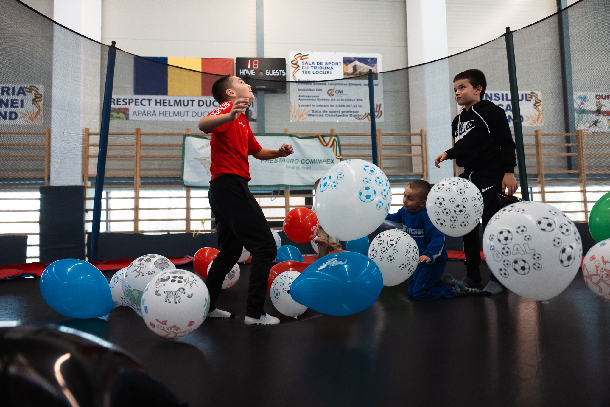 Închirieri Topogane