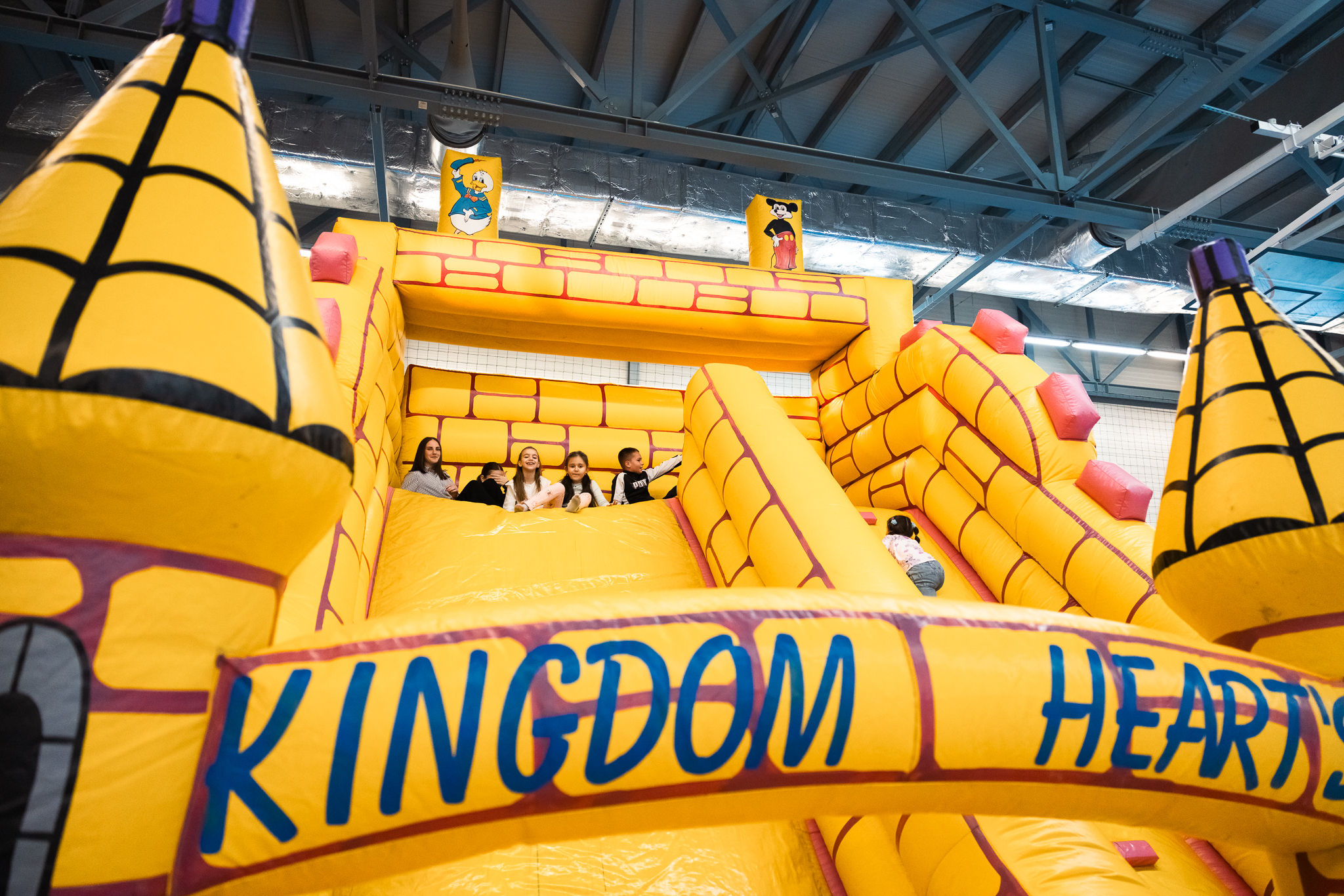 Închirieri Topogane